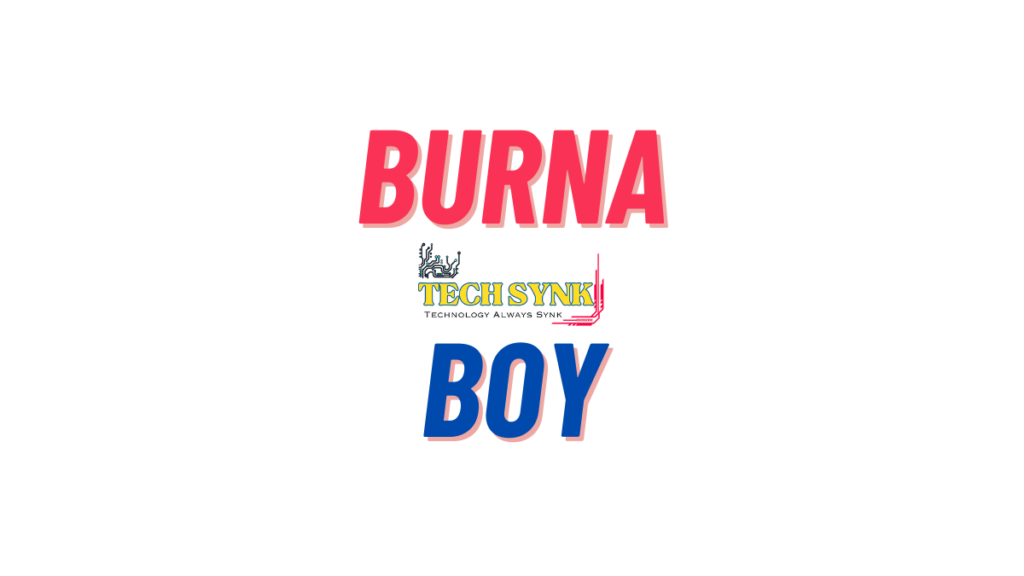 Burna Boy Net Worth in 2023 Unraveling the Million-Dollar Mystery